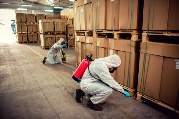 Best Pest Control for Homes  in Covington, KY