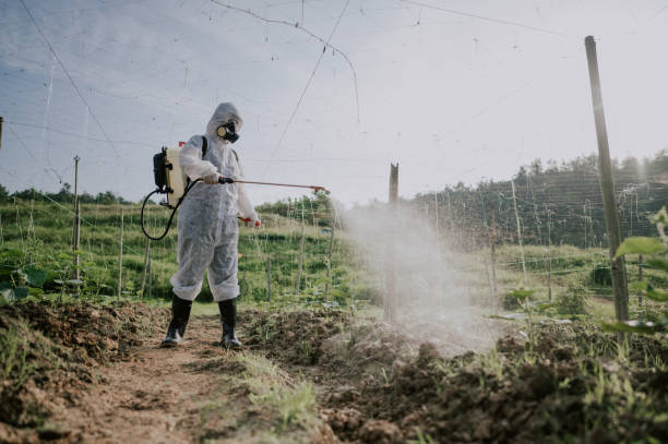 Best Mosquito Control Services  in Covington, KY